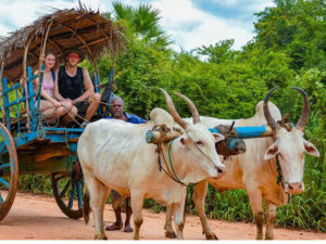 chauffeur guide francophone srilanka-3